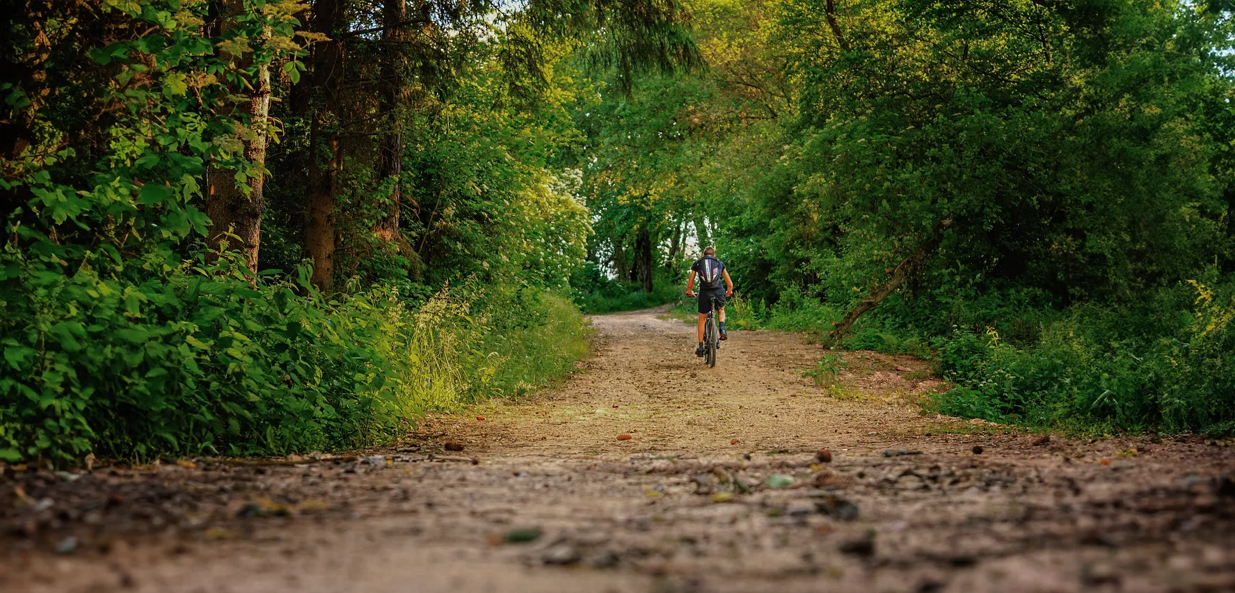 Cycle paths in Puy de Dôme