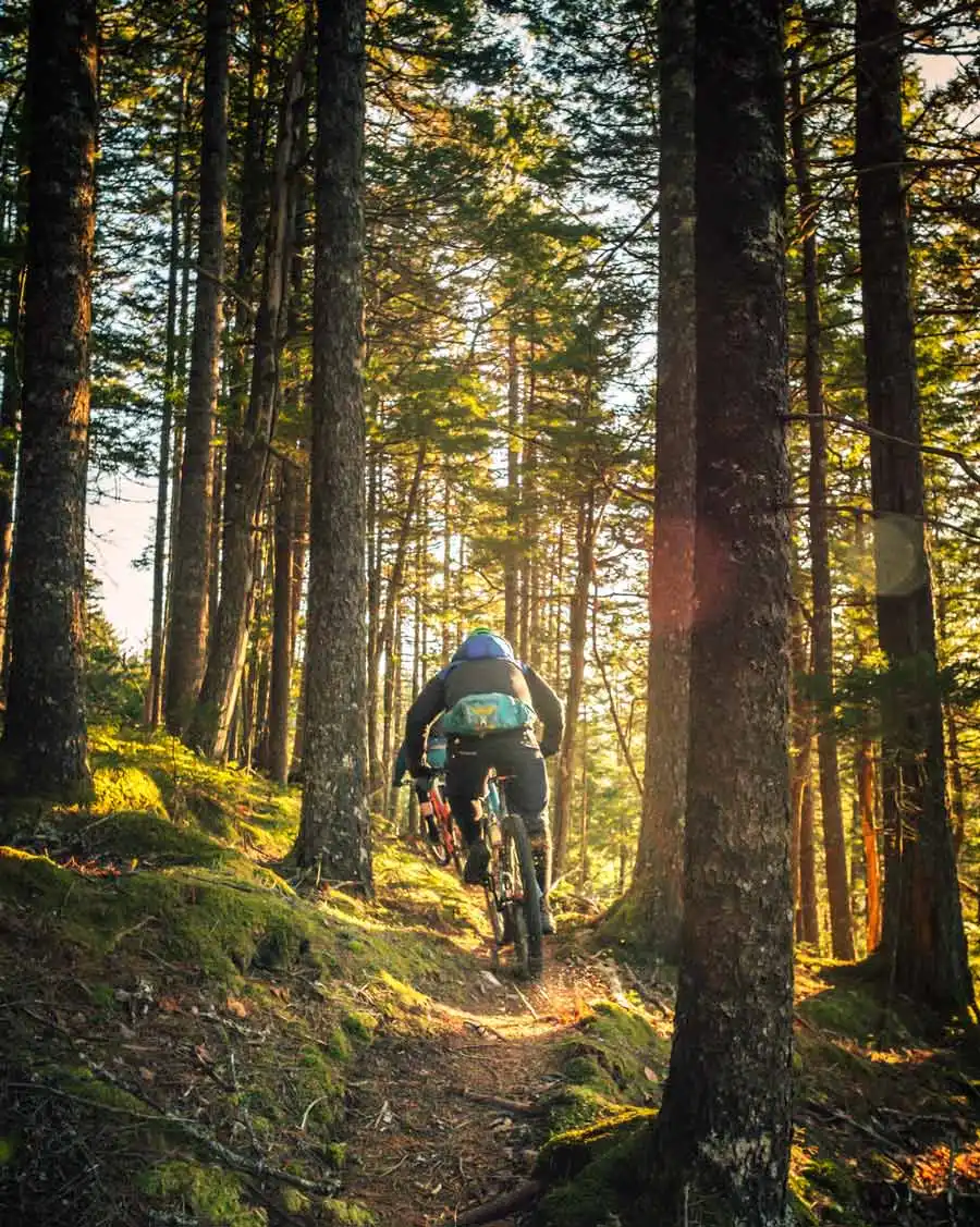 sorties vtt massif de sancy